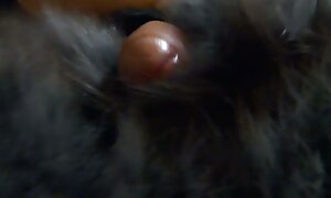 سگ ماده زیبا به شیرینی اش عكس كير و كس نگاه می کند و یک دیک بزرگ را می مکد