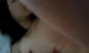 جوجه اش را پاره کنید و در دوربین عکس کونکس گربه اش شلیک کنید