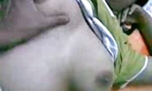زیبایی روسی کاملاً روی گربه پیچیده عکس کوس پشمالو شده است