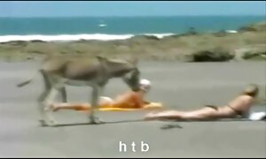 با آمدن از سربازانی که به خواهرش می گشتند عکس متحرک کیر و کس ، عشق ورزیدند و نتوانستند مایع منی را در بیدمشک نگه دارند